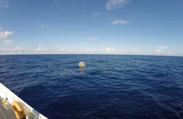 Bolha flutuando no oceano antes de ser resgatada  ( U.S. Coast Guard)