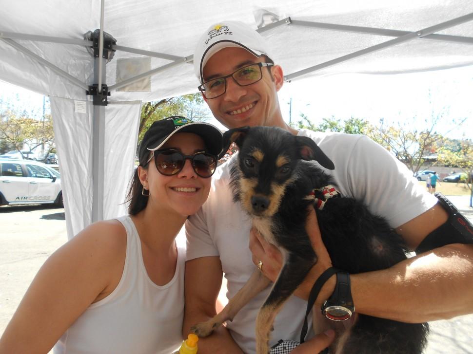feira de c&atilde;es (Cecília Polycarpo/AAN)