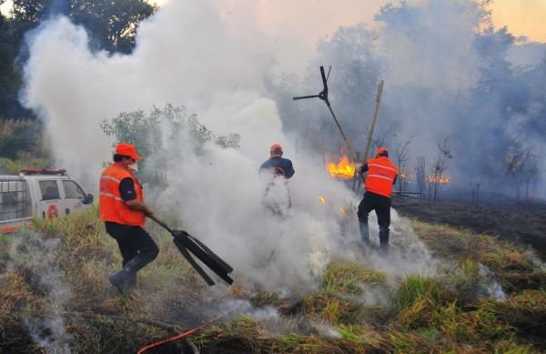 Homens da Defesa Civil e Bombeiros apagam o fogo na fazenda Cachoeria em Vinhedor
 ( Leandro Ferreira/ AAN)