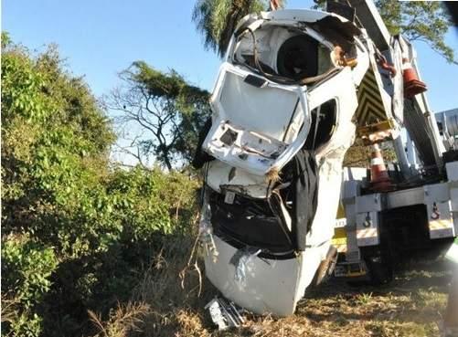 O motorista perdeu o controle do ve&iacute;culo ap&oacute;s bater no animal (Chiquinho Ramos)