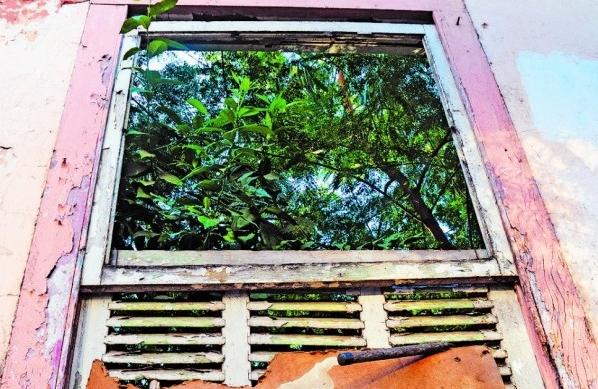 Vista interior de casa abandonada na Tiradentes com Regente, com mato e &aacute;rvores ( Antonio Trivelin/ Gazeta de Piracicaba )