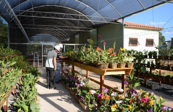 Flores est&atilde;o expostas em estruturas pr&eacute;-montadas e suspensas ( Divulgação)