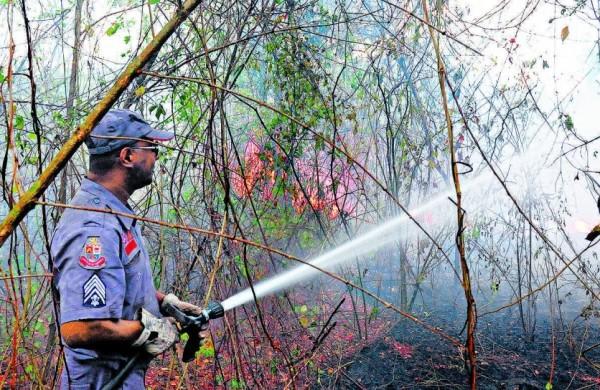 Queda da umidade do ar eleva risco de inc&ecirc;ndios ( Del Rodrigues/ AAN)