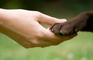 N&atilde;o h&aacute; necessidade de inscri&ccedil;&atilde;o para participar da c&atilde;ominhada  (Foto ilustrativa/ reprodução)