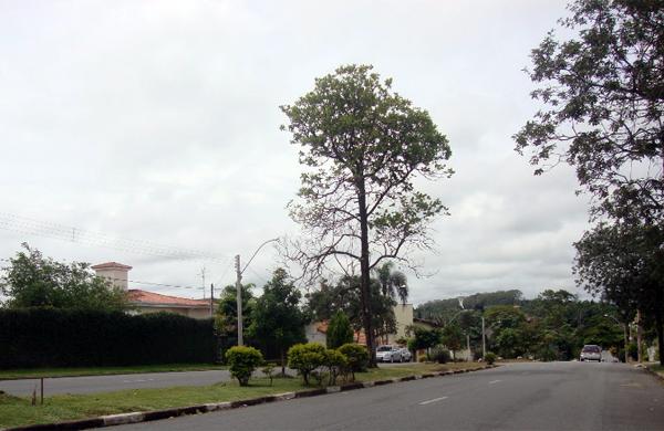 Acidente entre a moto e o carro aconteceu na Avenida Manoel Afonso Ferreira, no Jardim Para&iacute;so, em Campinas (Captura/Google Maps)