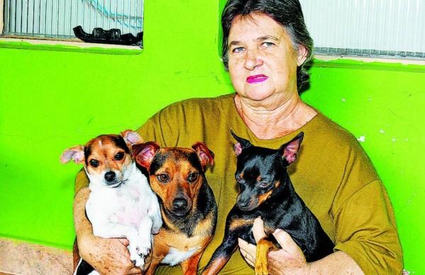 Leda Massarotto e suas tr&ecirc;s cadelas, Lilica, Laika e Bolinha, que ser&atilde;o castradas  ( Antonio Trivelin/ Gazeta de Piracicaba )