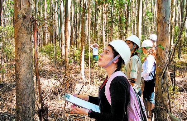 Doa&ccedil;&atilde;o de &aacute;rea da esta&ccedil;&atilde;o do Itatinga vai contra fortalecimento da educa&ccedil;&atilde;o no Brasil, alerta Esalq/ USP  (Gerhard Waller/ USP/Esalq)