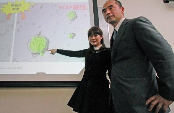 A pesquisadora Haruko Obokata (&agrave; esq.) e o professor da Universidade Yamanashi, Teruhiko Wakayama  (AFP)