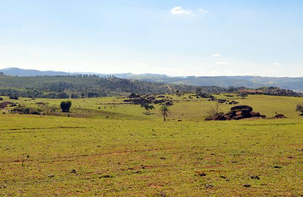 Propriedade rural na &aacute;rea de prote&ccedil;&atilde;o ambiental no distrito de Sousas: o que era para ser uma densa mata se tornou uma imensa pastagem ( César Rodrigues/AAN)