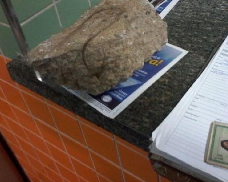 Morador de rua n&atilde;o explicou o motivo que o levou a jogar a pedra contra a v&iacute;tima ( Divulgação)