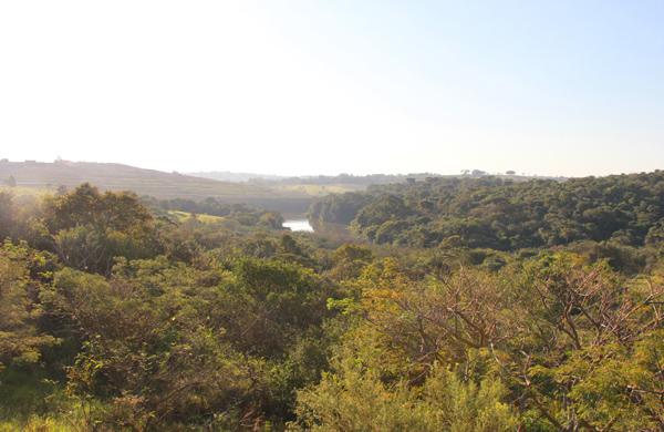 &Aacute;rea de Preserva&ccedil;&atilde;o Ambiental do Parque Municipal do Campo Grande, com 959 hectares, vegeta&ccedil;&atilde;o da Mata Atl&acirc;ntica e cerca de 50 nascentes (Camila Moreira/ AAN)