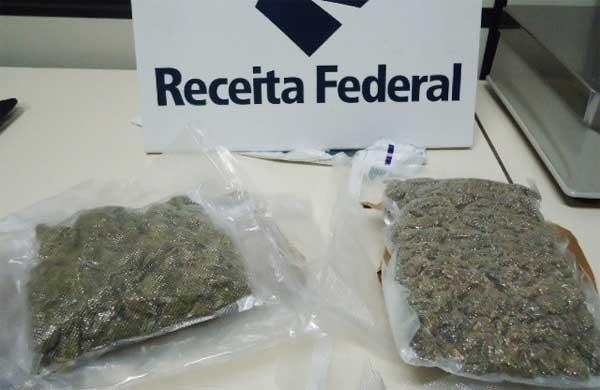 A subst&acirc;ncia &eacute; conhecida como skunk, ou supermaconha ( Divulgação)
