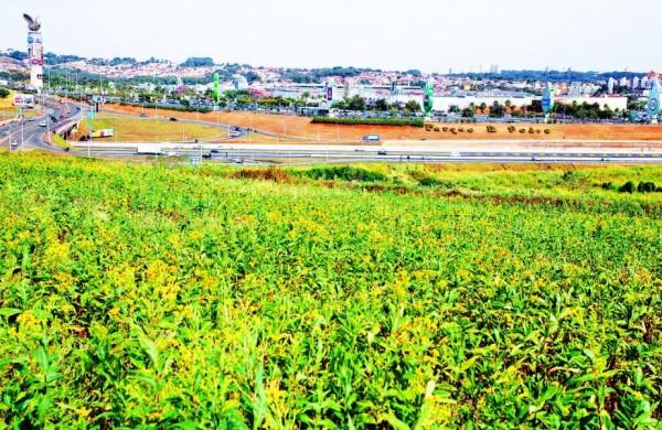 &Aacute;rea &agrave;s margens da rodovia, com vista para o Parque D. Pedro Shopping, alvo de megaempreendimento com unidades habitacionais e com&eacute;rcio ( César Rodrigues/AAN)