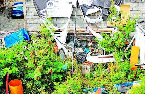Quintal no bairro Swift, em Campinas, faz vizinhos temerem a propaga&ccedil;&atilde;o do mosquito transmissor da dengue  (Elcio Alves/ AAN)