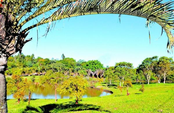 Vista do Parque Ecol&oacute;gico Monsenhor Em&iacute;lio Jos&eacute; Salim: &aacute;rea de lazer e de preserva&ccedil;&atilde;o ambiental (Edu Fortes/AAN)
