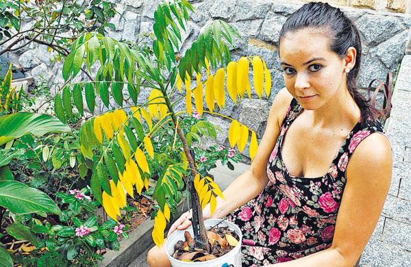A estudante Priscila de Oliveira teve dengue, assim como seu pai, irm&atilde; e namorado: agora mais cautela ( Dominique Torquato/AAN)