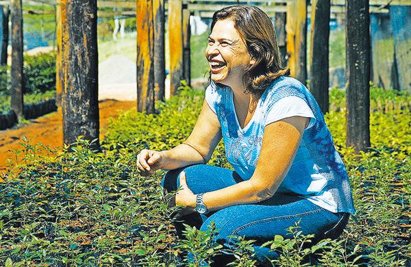 Agr&ocirc;noma Clementina Rossin em uma das estufas do viveiro municipal: orienta&ccedil;&otilde;es precisasr
 (Cristiano Diehi Neto)