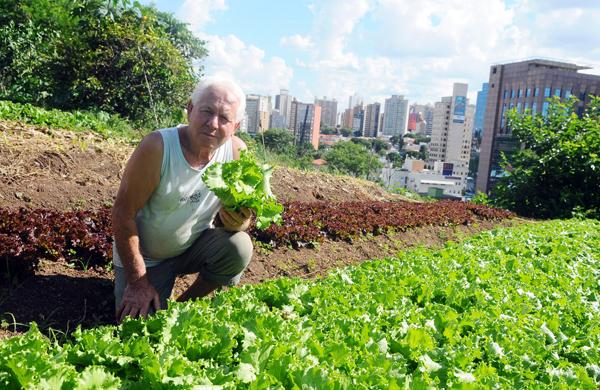 Vidotti: "O calor acaba prejudicando o cultivo de produtos como alface e rúcula. Temos queda na produção" ( Dominique Torquato/AAN)