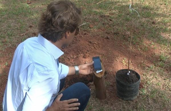 O sistema utiliza um aplicativo de internet, o QR Code, para armazenar informa&ccedil;&otilde;es como a esp&eacute;cie da planta (Dorinaldo Oliveira/ Correio Popular)