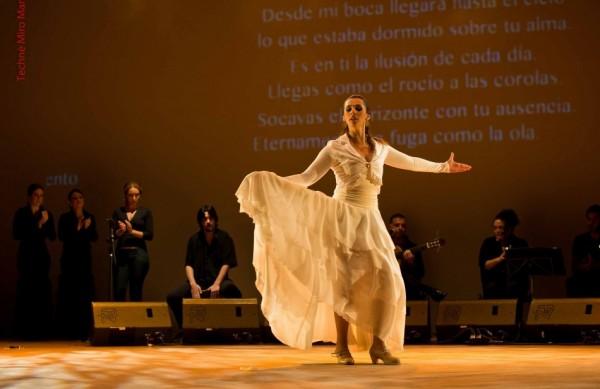 A bailaora Ana Paula Campoy, professora do Centro de Arte Flamenca, de Campinas ( Divulgação)
