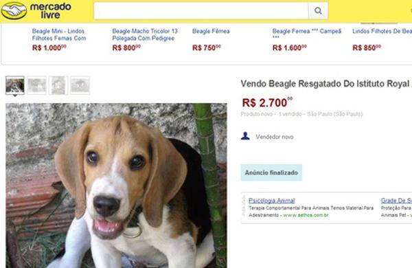  Reprodução do site que os raptores tentavam vender por R$ 2.700 mil ( Reprodução)