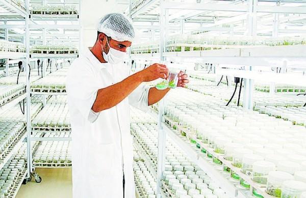 Funcionário em laboratório instalado no Techno Park, em Campinas ( Cedoc/RAC)