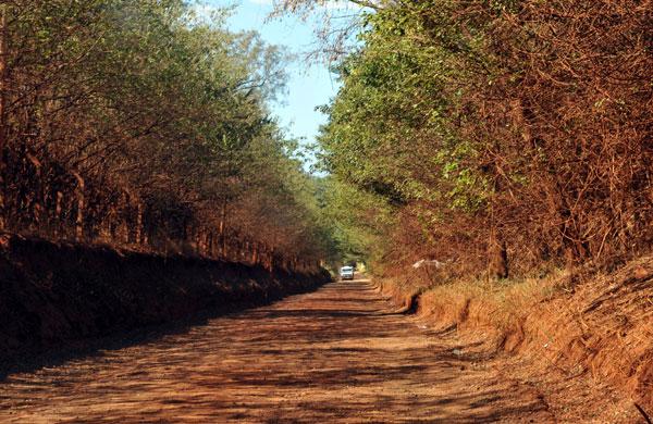 Estrada de terra para o infinito. Caminho do bairro Jardim Carlos Gomes. (Dominique Torquato/AAN)