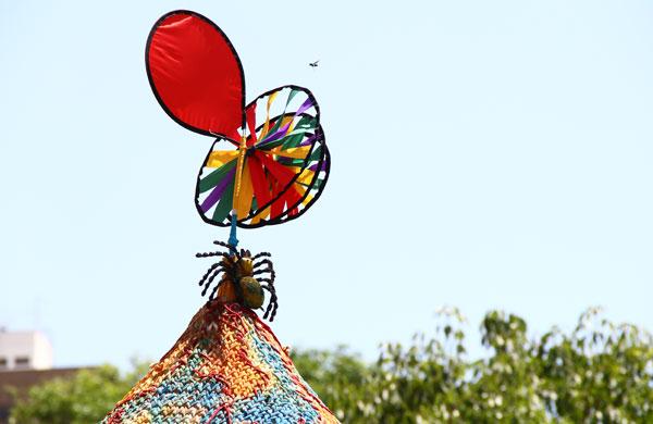 A dona aranha subiu e quase alcançou o marimbondo (Camila Moreira/AAN)