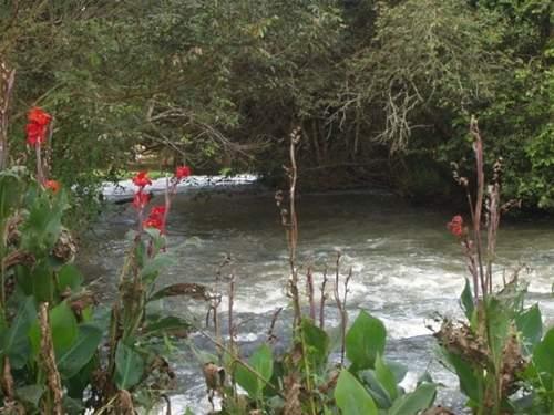 As margens do rio preto passarão por limpeza e receberão mudas de orquídeas ( Divulgação)