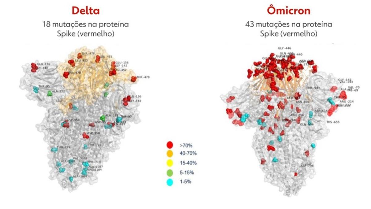 Gráfico mostrando as diferenças entre as variantes. (Correio Popular)