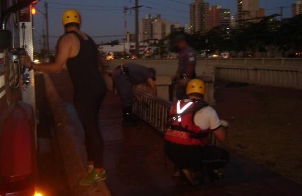 Quatro homens do Corpo de Bombeiros trabalharam no resgate (Luís Augusto/AAN)