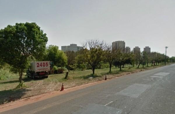 Obra deve provocar a derrubada de 59 árvores nativas ( Divulgação)