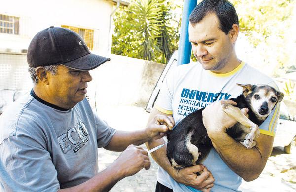 Animais começaram a ser vacinados neste sábado em Campinas (César Rodrigues/AAN)