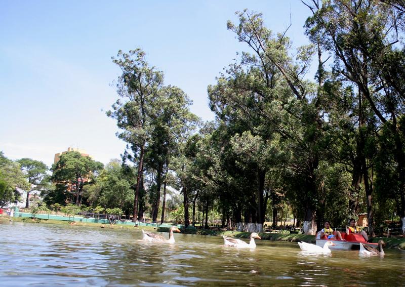 Parque Municipal terá ônibus gratuito neste domingo ( Divulgação)