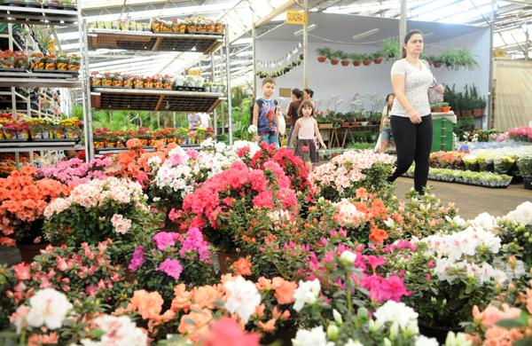 A chegada da Primavera marca o aumento nas vendas de flores e plantas, na Central de Abastecimento de Campinas ( Edu Fortes/AAN)