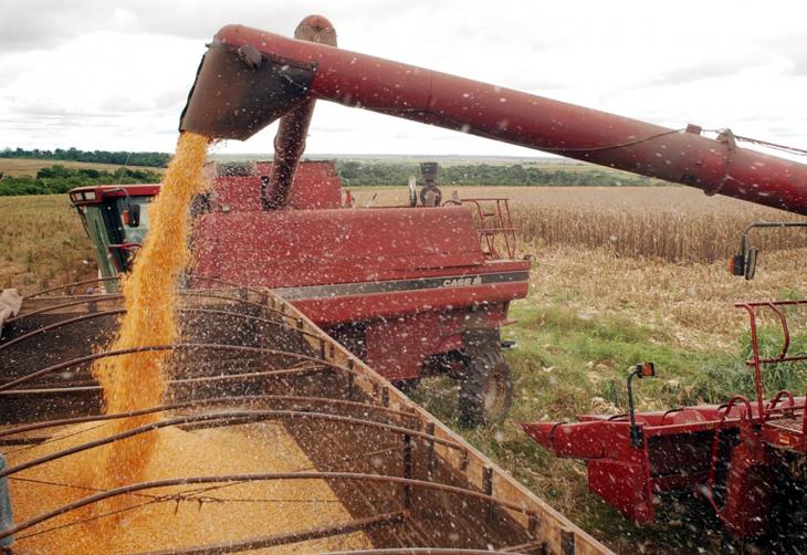 O destaque no segundo trimestre foi o setor agropecuário, que cresceu 3,9% (Agência Brasil)