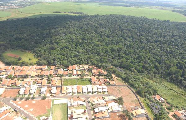 Residências construídas próximas da Mata de Santa Genebra no distrito de Barão Geraldo: permissão ( Cedoc/RAC)