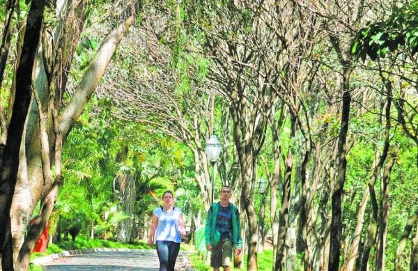 Jardim Botânico de Americana, cidade mais bem avaliada pela pesquisa na RMC ( Dominique Torquato/AAN)