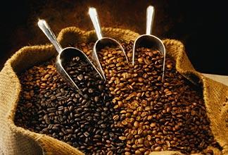 Destilado de borra de café (Drink Perfeito/Blog)