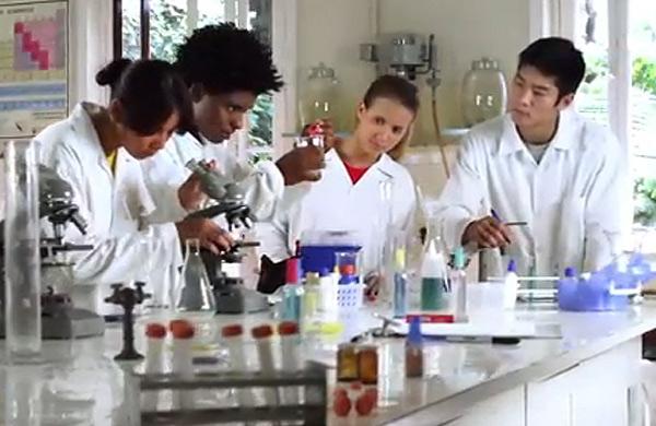 Estudantes do ensino médio, estudantes do ensino superior, mestres e doutores têm até 30 de agosto para se inscrever no XXVII Prêmio Jovem Cientista (Reprodução)