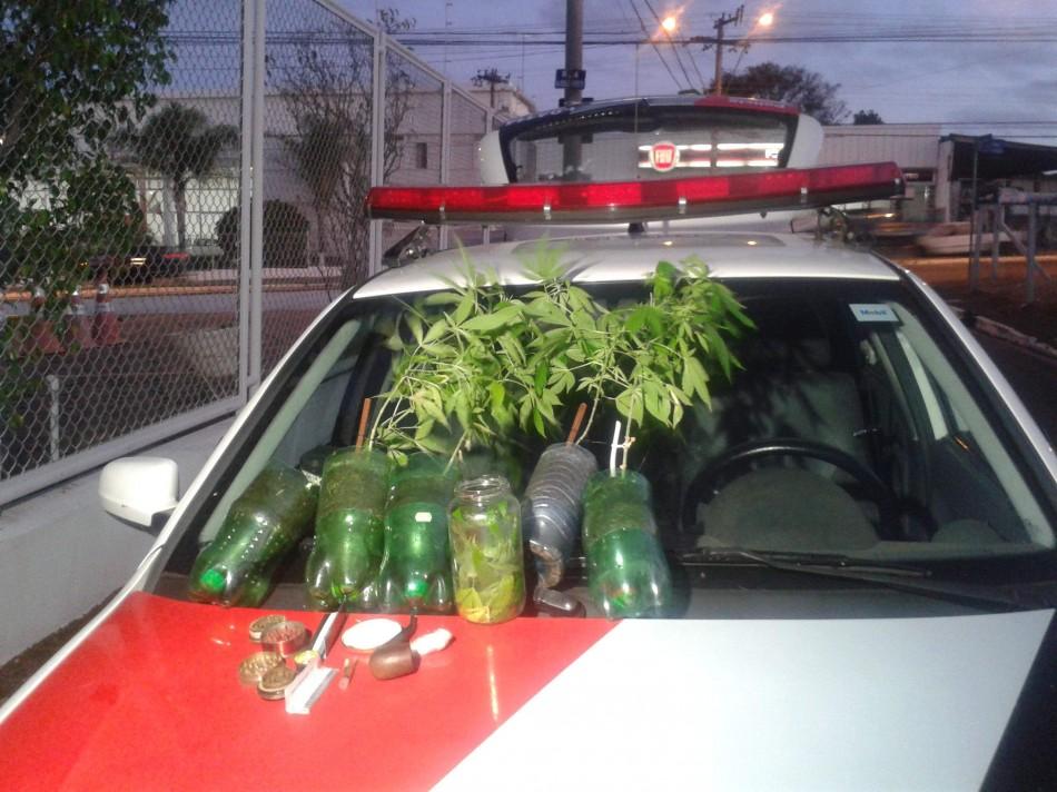 Os estudantes disseram que a droga era cultivada para consumo próprio (Carolina Bataier)