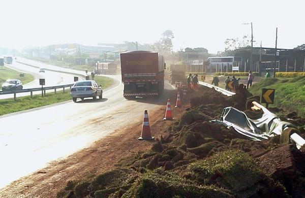 O caminhão estava carregado com grama (Dorinaldo Oliveira/ Correio Popular)