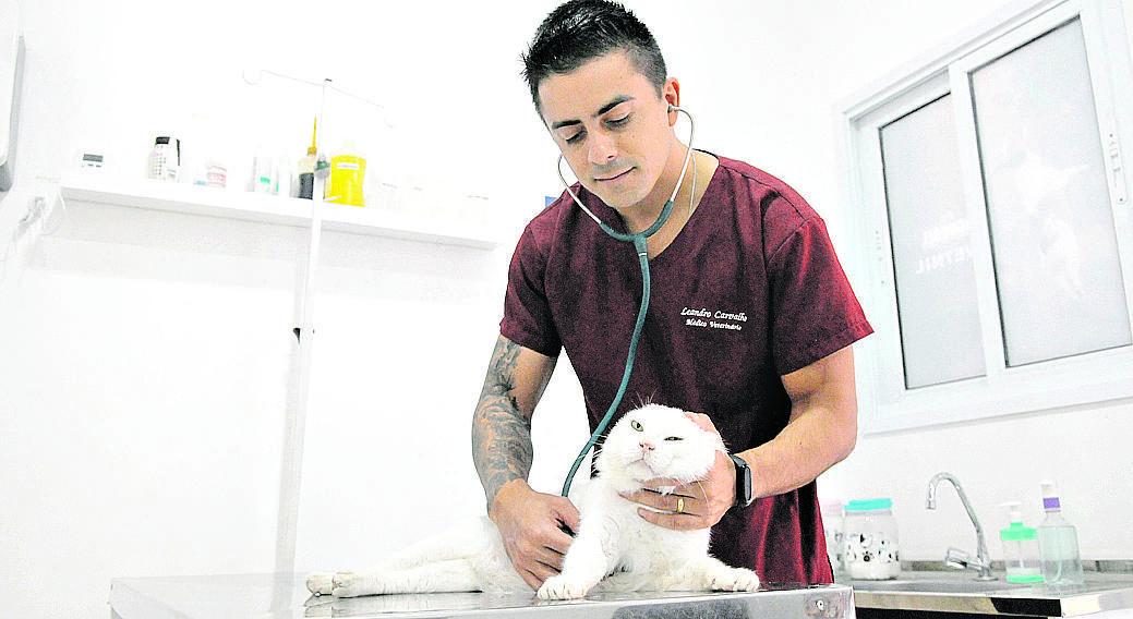 O veterinário Leandro de Carvalho: atender somente emergências gerará prejuízos (Correio Popular)