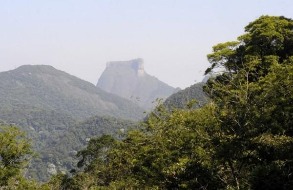Brasil tem dois anos para apresentar marco regulatório de proteção de ecossistemas (Agência Brasil)