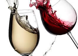 A região se dedica ao vinho (Divulgação)