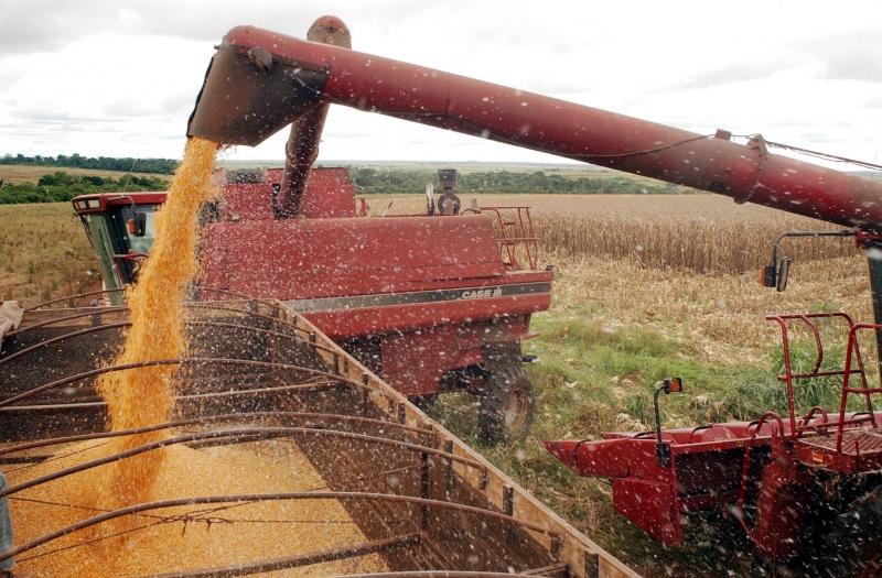 Produção da safra de grãos deve alcançar 185 milhões de toneladas em 2013 (Agência Brasil)