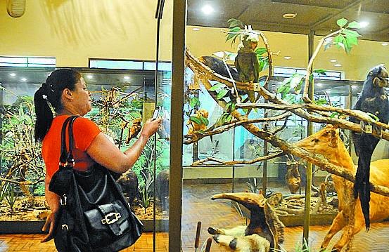 Visitante fotografa animais em exposição no Bosque dos Jequitibás  (Érica Dezonne/11jan2013/AAN)