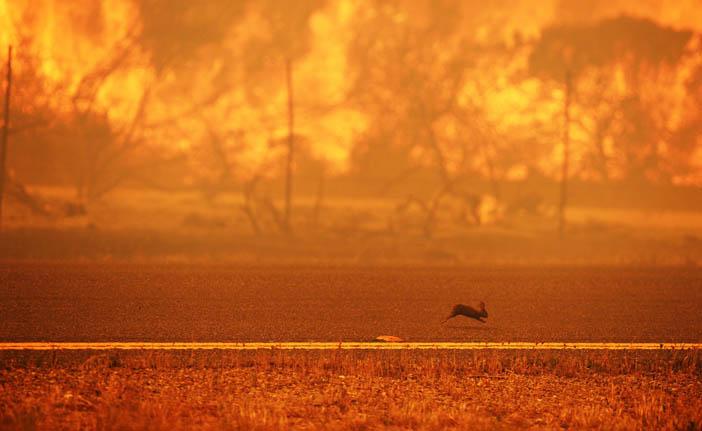 A Califórnia normalmente é atingida pelo fogo no final do ano, mas ventos fortes e altas temperaturas desencadearam uma série de incêndios esta semana (France Press)